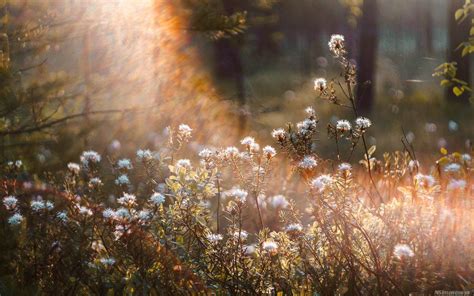 4.3 million+ Stunning Free Images to Use Anywhere .